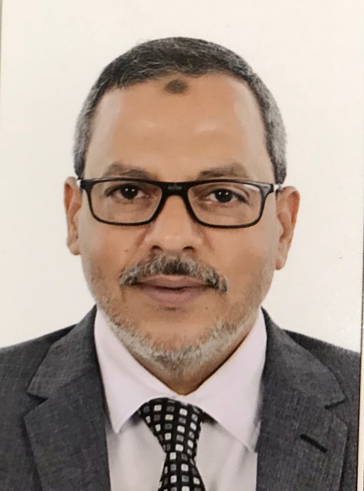 Gamal Elsayed Saleh Moustafa